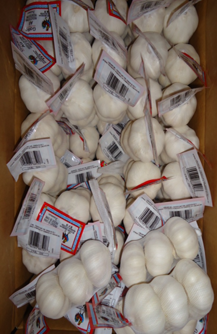 Výzkum dopadu čínského dovozu česneku na ekvádorský trh s česnekem